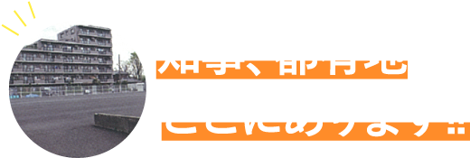 知事、都有地ここにあります！！