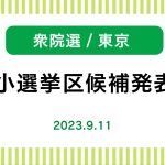 小選挙区　東京の2候補が発表